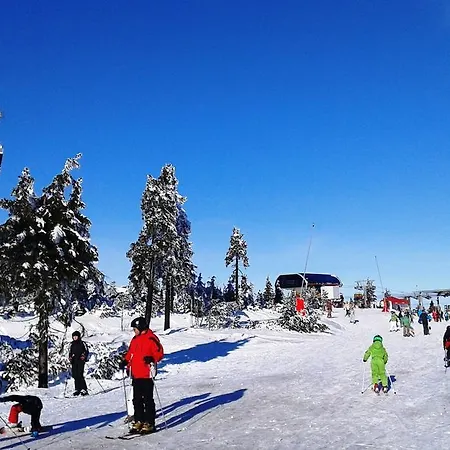 Lejlighed Klinovec 365