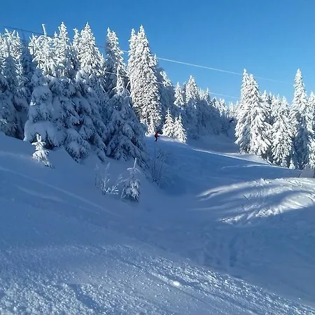 Klinovec 365 شقة *