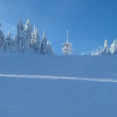 شقة Klinovec 365 Loučná pod Klínovcem