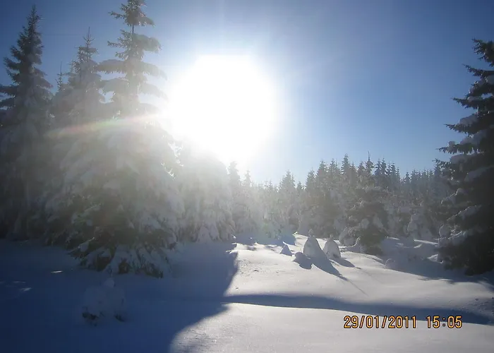 Διαμέρισμα Klinovec 365 *