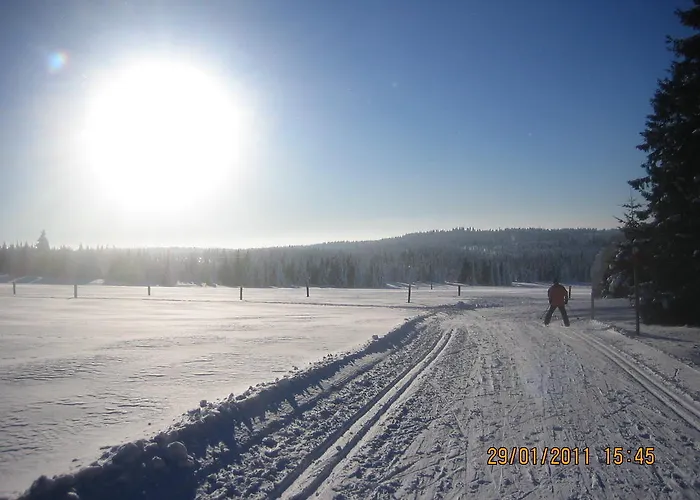 Διαμέρισμα Klinovec 365