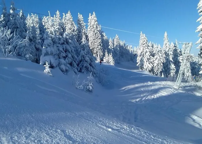 Klinovec 365 アパート *