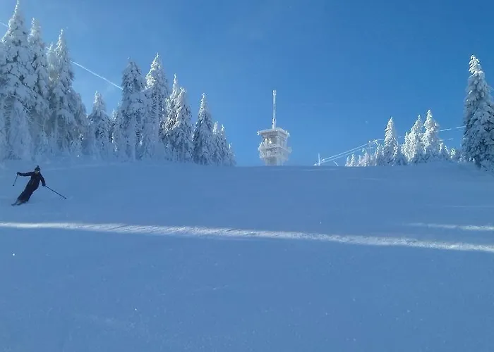 Διαμέρισμα Klinovec 365 Loučná pod Klínovcem