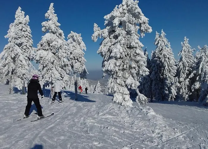 דירה Klinovec 365 *